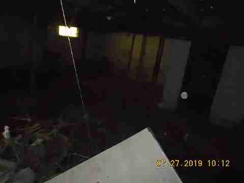 16737 Dolphin (29)_m.jpg